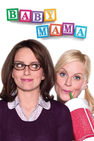 Baby Mama (2008) Hindi Dual Audio | Hindi Dubbed Movie BluRay 300MB