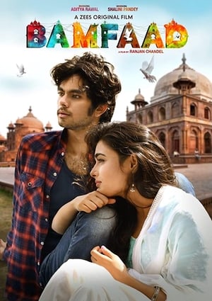 Bamfaad 2020 Hindi Movie | Hindi Dubbed Movie HDRip x264 [790MB]