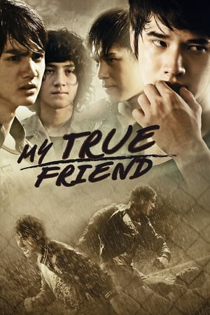 Friends Never Die (2012) Hindi dual Audio | Hindi Dubbed Movie HDRip 340MB